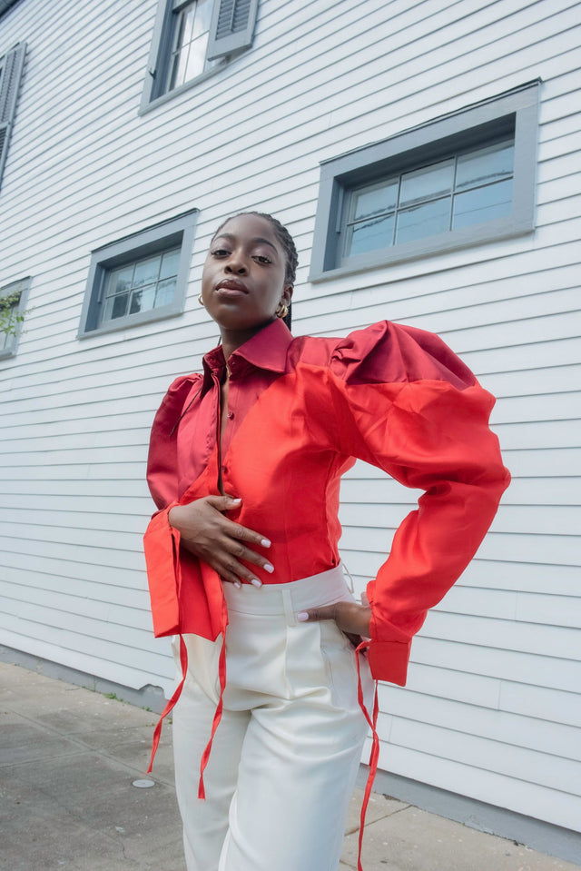 Red Puffer Sleeve